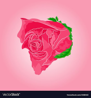 Beautiful rose simple symbol of love vector image