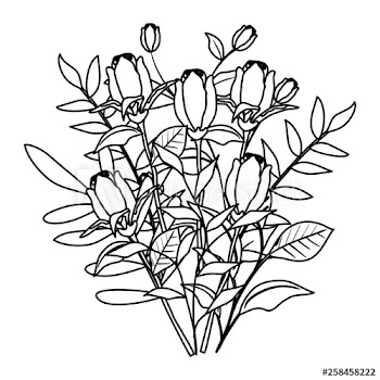 beautiful roses and leafs decoration