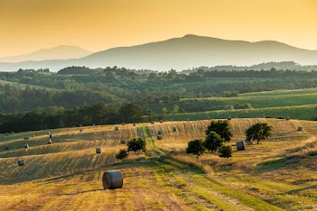Beautiful Scenery