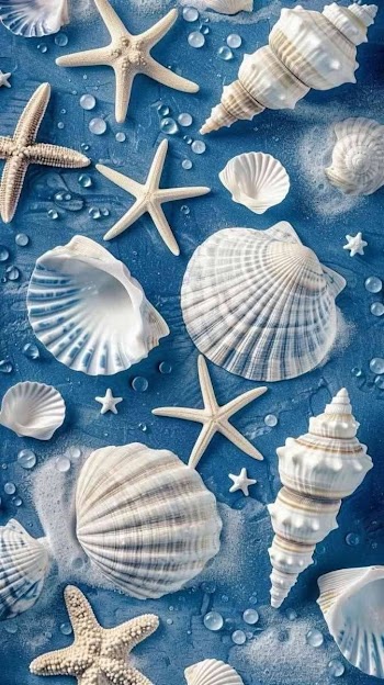 Beautiful Seashells on Blue Background
