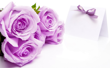 Beautiful Soft Purple Roses on White Background Wallpaper ...