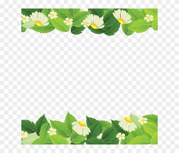 Beautiful Spring Leaves, Plant, Backdrop Png And Vector - Leaf