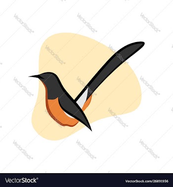 Beautiful stone magpie vector image