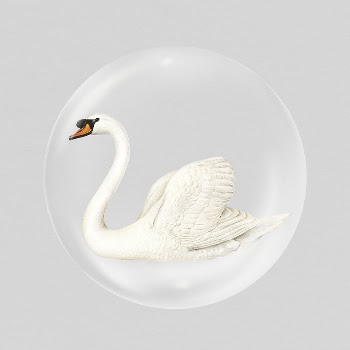 Beautiful swan sticker, animal in bubble | Free PSD - rawpixel