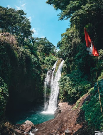 beautiful waterfall in green forest