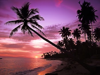 Beautifull tropical sunset at sea
