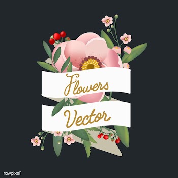 Beautifully designed flowers vector | Free stock vector - 44565