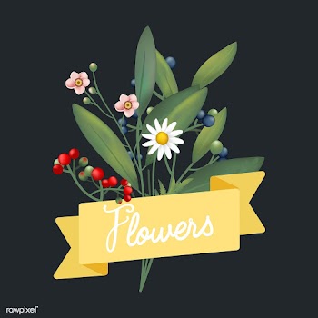 Beautifully designed flowers vector | Free stock vector - 44567