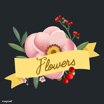 Beautifully designed flowers vector | Free stock vector - 44574