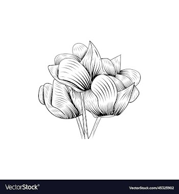 beauty flower line art style design