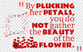 Beauty Quotes Transparent Image