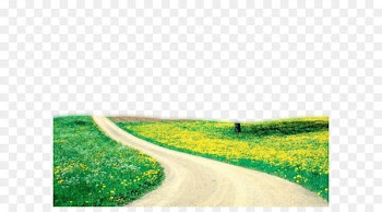 Beauty Spring Nature Wallpaper - Nature Png Picture 