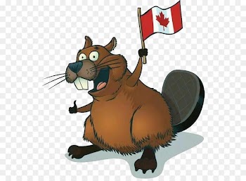 Beaver Cartoonist Drawing Joe Cartoon - Beaver PNG 