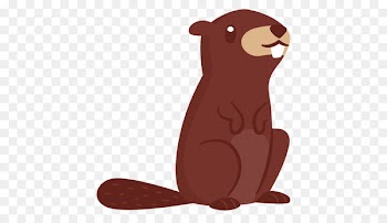 Beaver Illustration Image Cartoon Drawing - beaver 