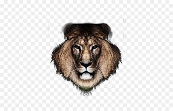 Becoming the Alpha: Control Internal Energy and Master External Game to Lead a Dominant, Fruitful and Triumphant Life Efterskolen Helle Tribute to the Reggae Legends Festival 2016 YouTube - Lionhead transparent background material diagram 