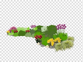 Bedding Floral design Flowerpot Annual plant Lawn, efekt transparent background PNG clipart