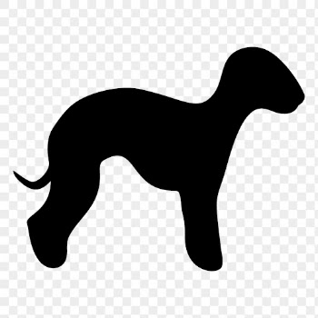Bedlington Terrier png dog sticker | Free PNG - rawpixel