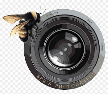 Bee's Photography - Camera Lens Icon