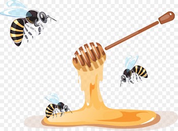 Bee, Apiary, Beekeeping, Insect, Honeybee PNG