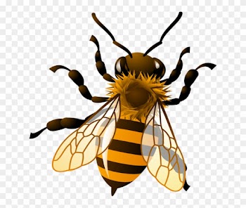 Bee Clip Art - Honey Bee Clip Art