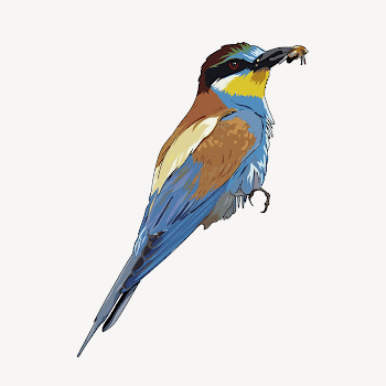 Bee-eater bird clipart illustration psd. | Free PSD - rawpixel