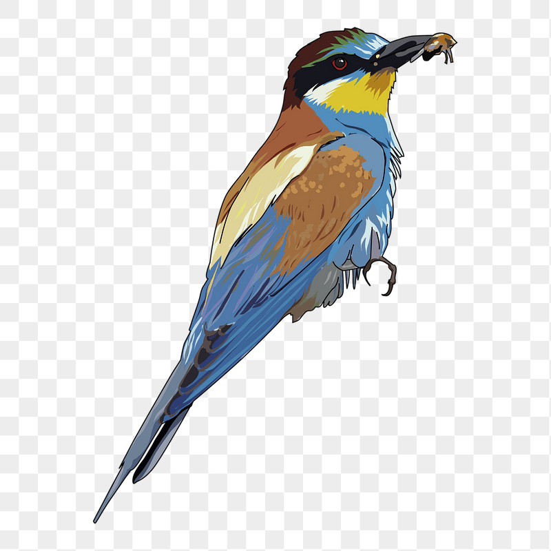 Bee-eater bird png sticker illustration, | Free PNG - rawpixel