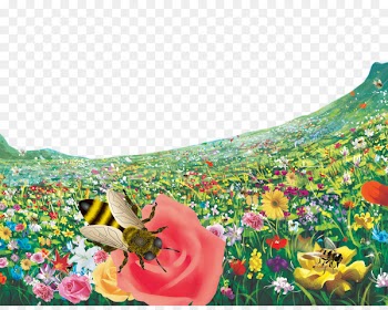 Bee Flower - Flower bee 