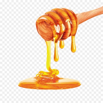 Bee Honey Stock photography Apple - honey 