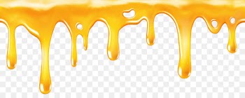 Bee Honeycomb Clip art - honey 