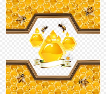 Bee Honeycomb Illustration - Golden honey 