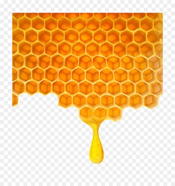 Bee Honeycomb - Poly honey honeycomb 