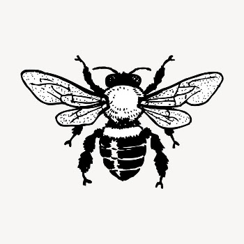 Bee, insect drawing, vintage illustration | Free Vector - rawpixel
