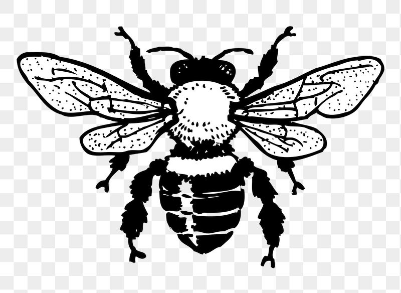 Bee, insect png sticker, transparent | Free PNG - rawpixel