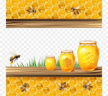 Bee Light Honeycomb Euclidean vector Illustration - Honey bees 