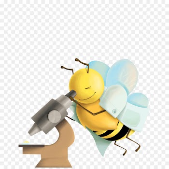 Bee Politecnico di Milano Tecnologo alimentare Electronic engineering Doctor of Philosophy - bee 