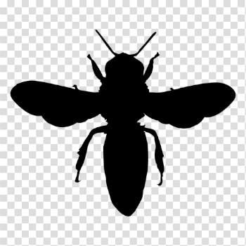 Bee silhouette 01 - Transparent PNG & SVG vector