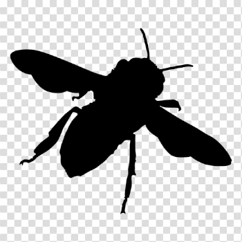 Bee silhouette 03 - Transparent PNG & SVG vector