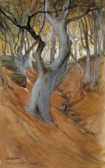 Beech forest, 1901, by Albert | Free Photo - rawpixel