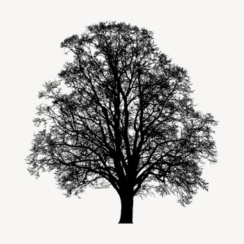 Beech tree silhouette clipart, nature | Free Vector - rawpixel