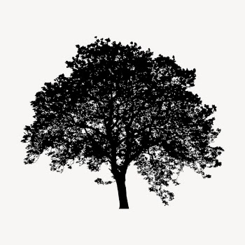 Beech tree silhouette clipart, nature | Free Vector - rawpixel
