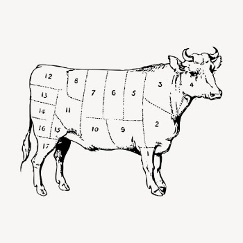 Beef diagram hand drawn clipart, | Free Vector - rawpixel