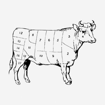 Beef diagram hand drawn illustration. | Free Photo - rawpixel