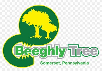 Beeghly Tree Service - Beeghly Tree Service Llc