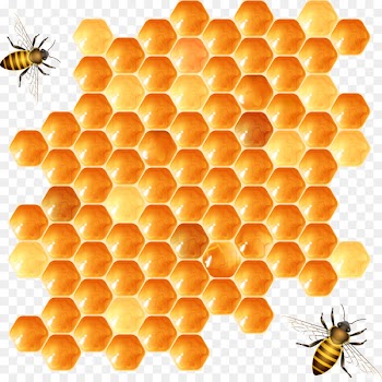Beehive Honeycomb - Bee hive design vector material 