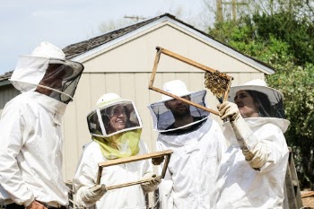 Beekeepers and friends enjoying spending time monitoring a beehive and looking at the raw honeycomb and bees. 