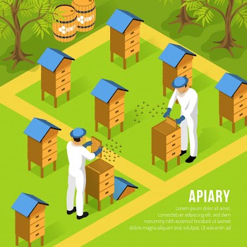 Beekeepers in protective clothing at apiary during work with hives and swarms of bees isometric Free Vector