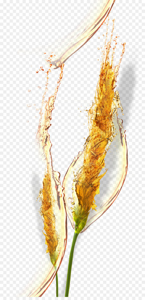 Beer Baijiu China Sapporo Brewery Advertising - China Wind oat splashing beer 