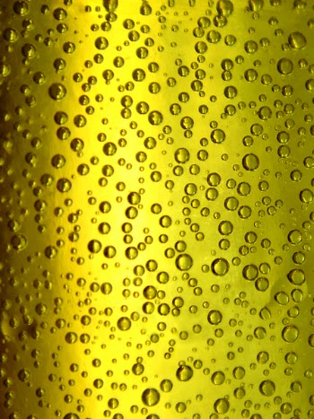 Beer Glass