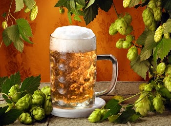 Beer Glass