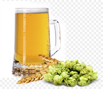 Beer Stock photography Royalty-free Image - beer 
